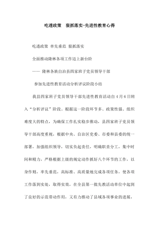 吃透政策--狠抓落实-先进性教育心得
