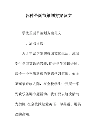 各种圣诞节策划方案范文--精编范文