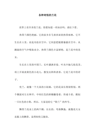 各种奇怪的兰花