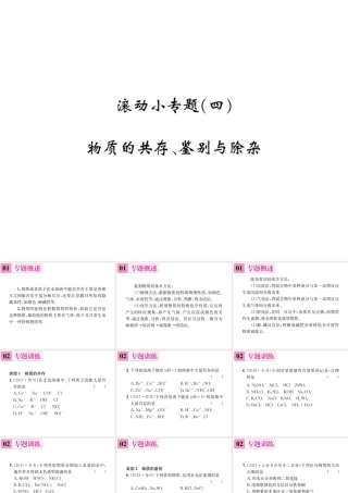 08 滚动小专题(四)  物质的共存、鉴别与除杂