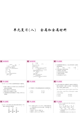 09  单元复习(八)  金属和金属材料
