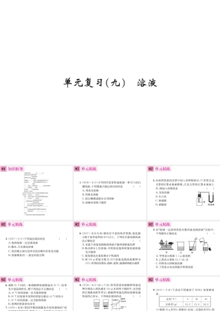09  单元复习(九)  溶液