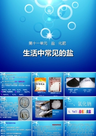 11.1 生活中常见的盐---人教版九年级化学下册课件(共41张PPT)