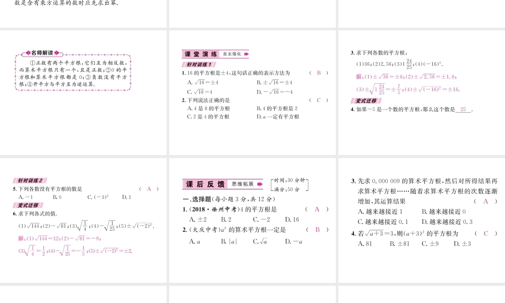 11.1.1  平方根