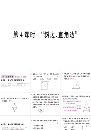 12.2 第4课时  “斜边、直角边”