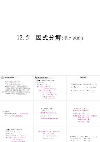 12.5 因式分解(第二课时)