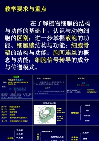 12第一章植物细胞11