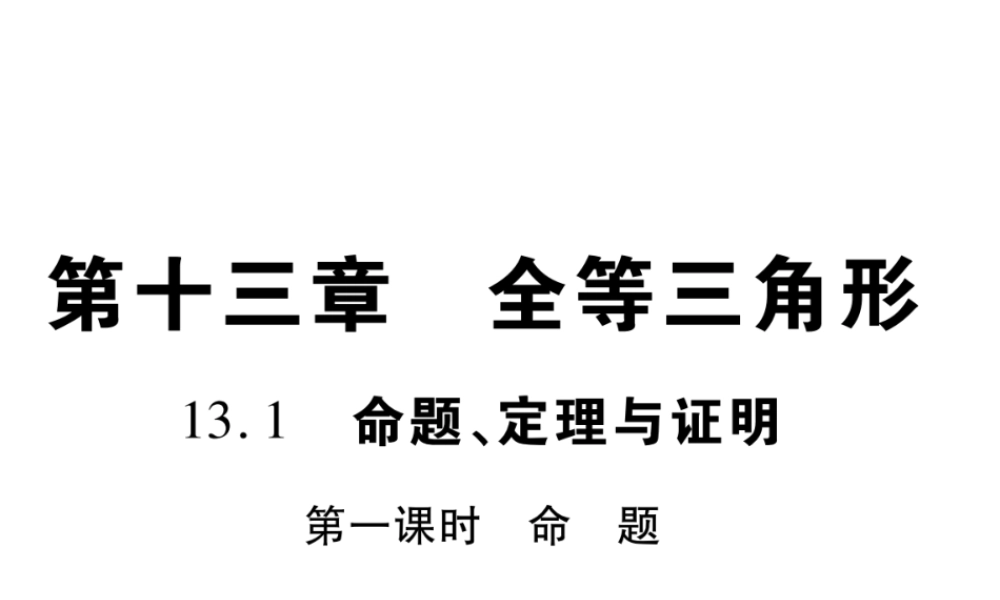 13.1 第一课时.pptx