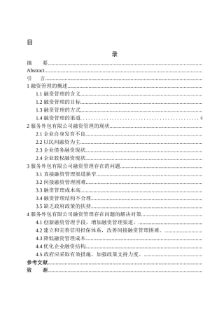 服务外包有限公司融资管理存在的问题及建议