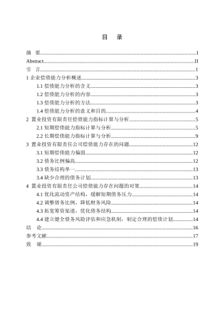 置业投资有限责任公司偿债能力分析