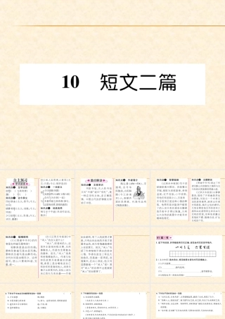 10  短文二篇