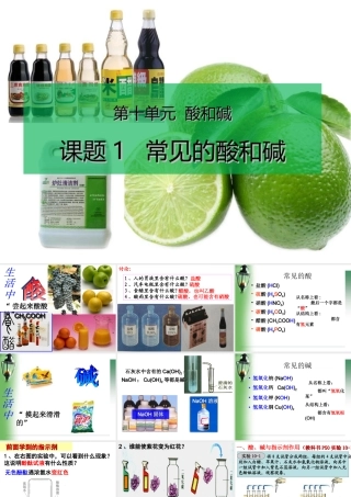 10.1  常见的酸和碱---人教版九年级化学下册课件(共48张PPT)