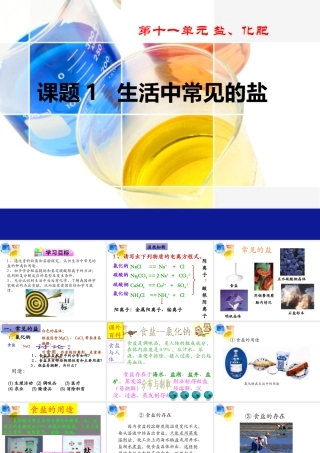 11.1生活中常见的盐---人教版九年级化学下册课件(共46张PPT)