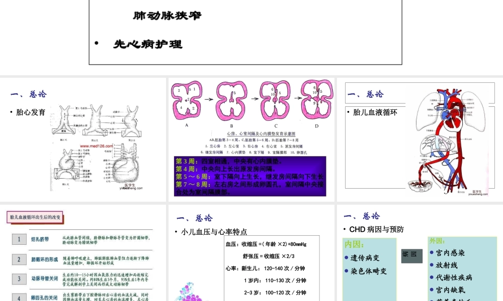 11版循环系统疾病护理