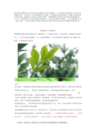 微专题之植被和水文之间的关系学案
