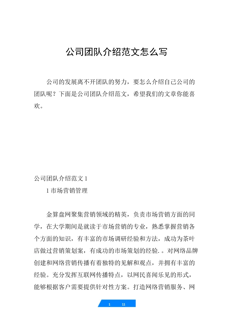 公司团队介绍范文怎么写-团队介绍范文_第1页