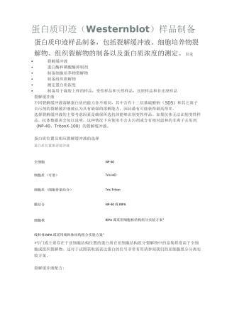 蛋白质印迹(Western blot)样品制备