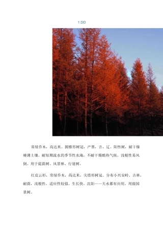 东北常用30种景观植物