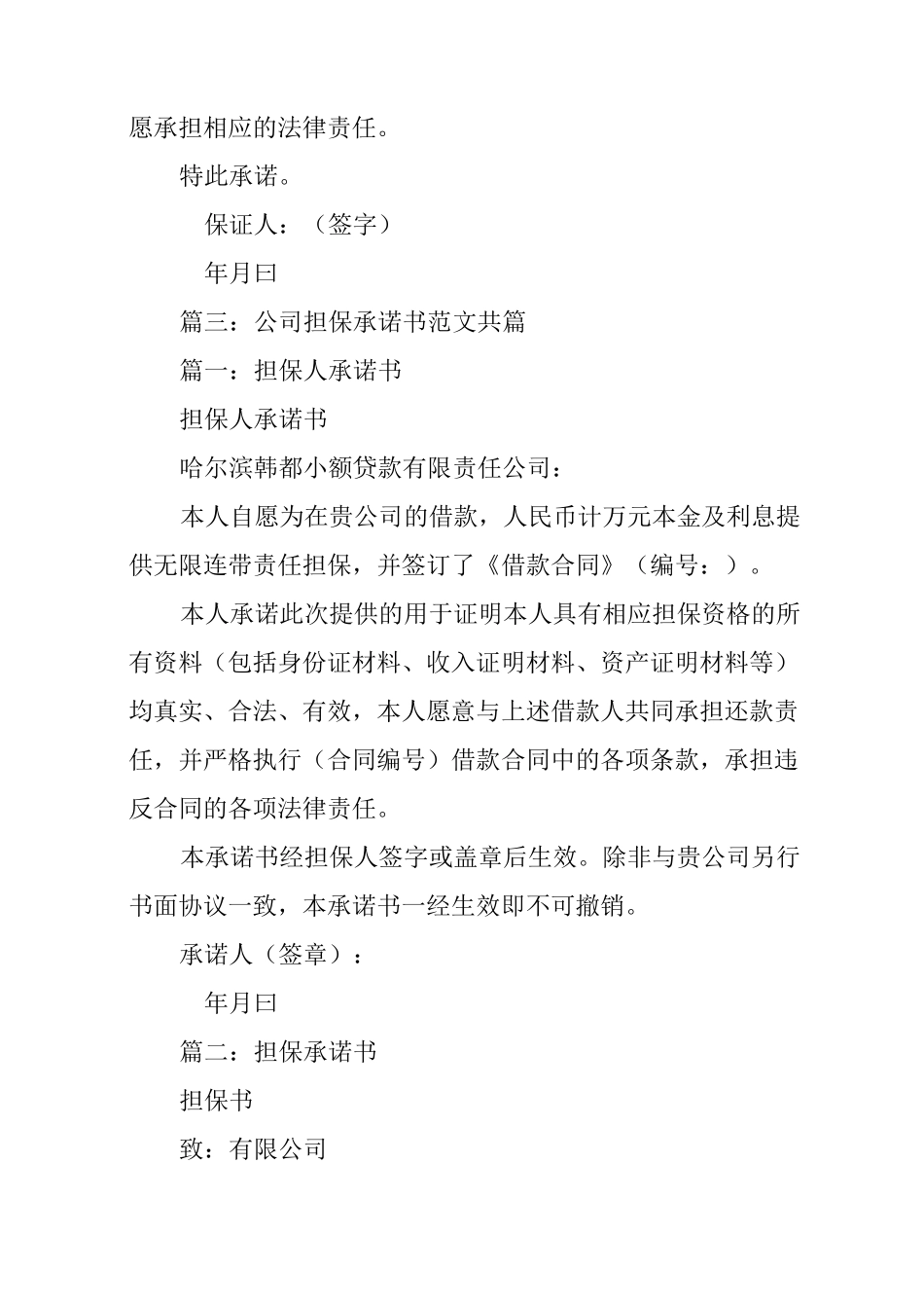 担保承诺书,担保合同_第2页
