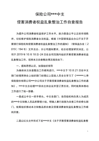 保险公司侵害消费者权益自查报告