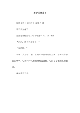 君子兰开花了