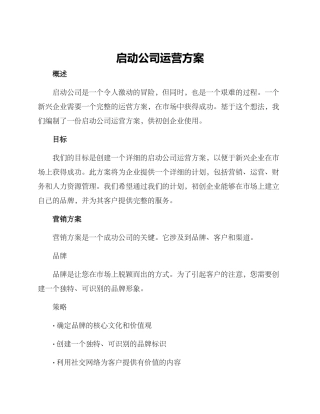 启动公司运营方案