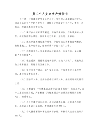员工个人安全生产责任书