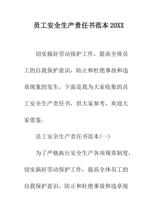 员工安全生产责任书范本2025--精编范文