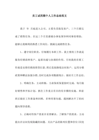 员工试用期个人工作总结范文