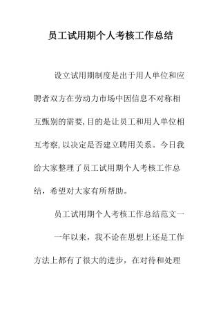 员工试用期个人考核工作总结--精编范文
