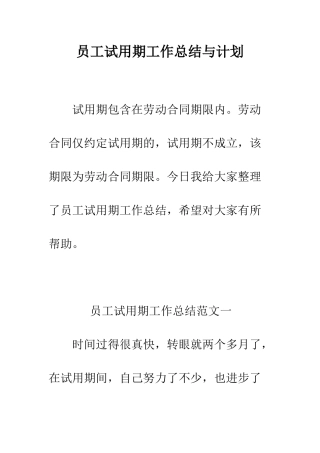 员工试用期工作总结与计划--精编范文