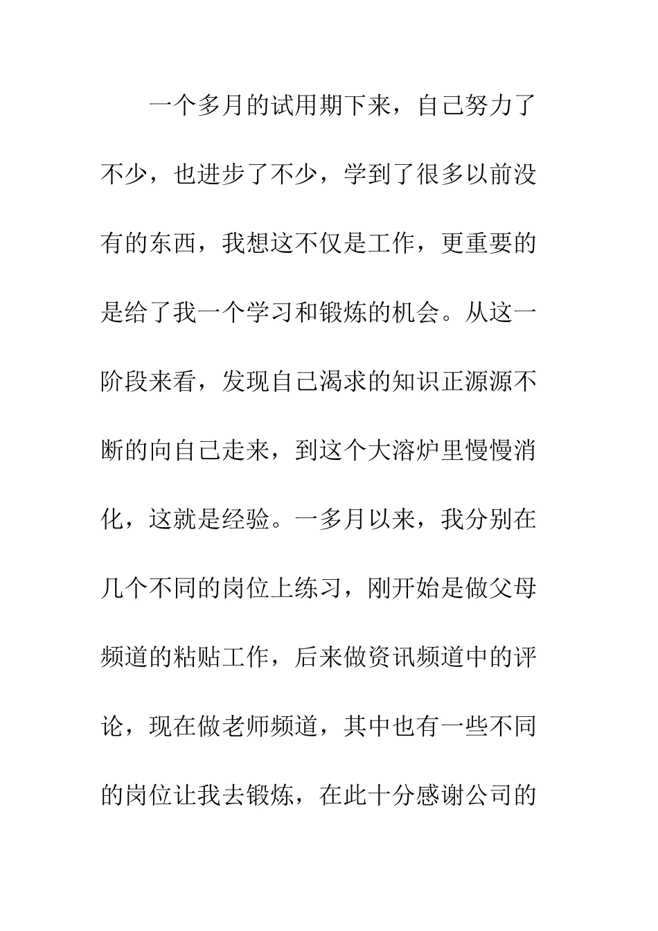 员工试用期工作总结--精编范文_第3页