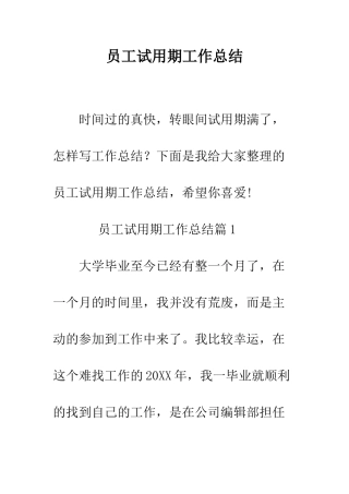 员工试用期工作总结--精编范文