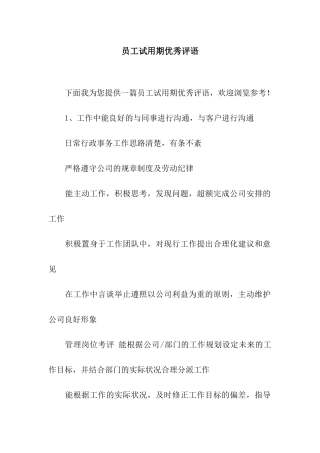 员工试用期优秀评语