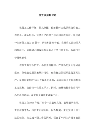 员工试用期评语
