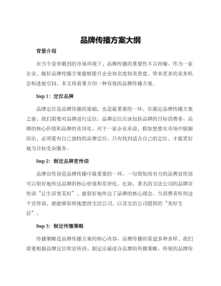 品牌传播方案大纲