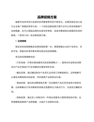 品牌促销方案