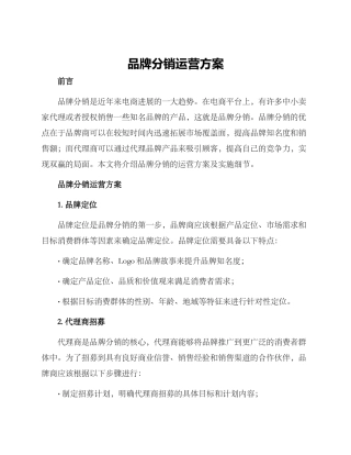 品牌分销运营方案