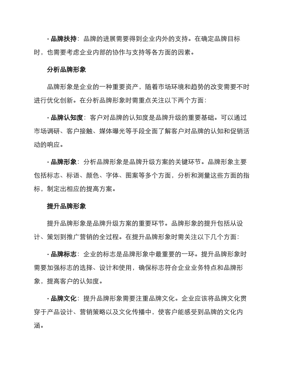 品牌升级措施方案_第2页