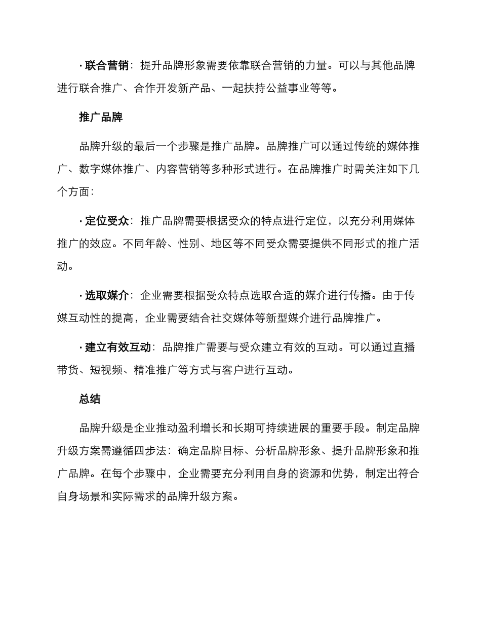 品牌升级措施方案_第3页