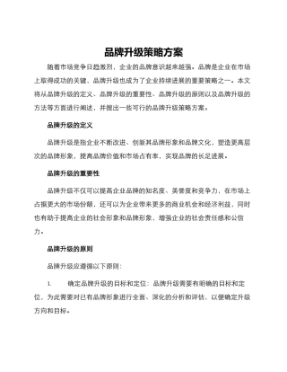 品牌升级策略方案