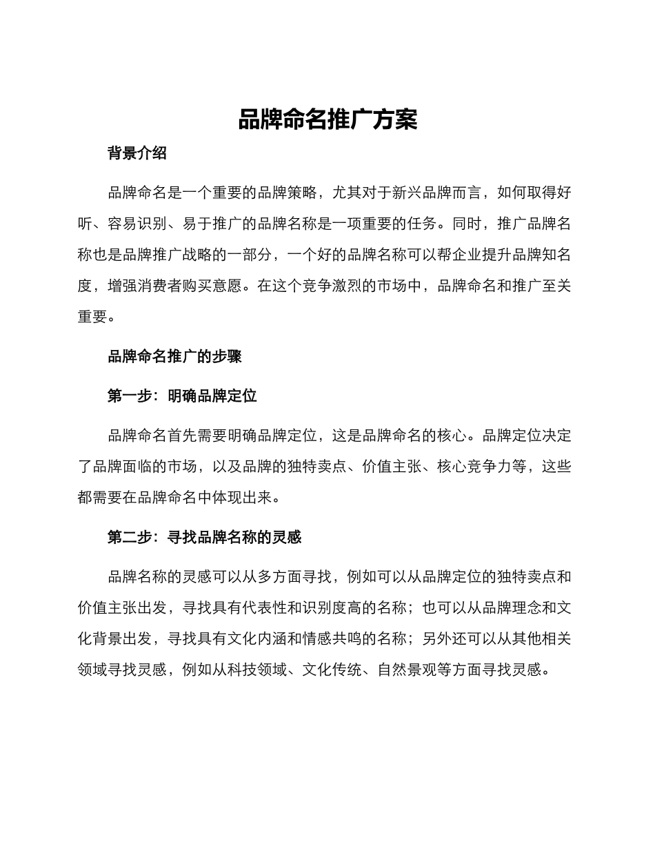 品牌命名推广方案_第1页