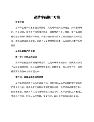 品牌命名推广方案