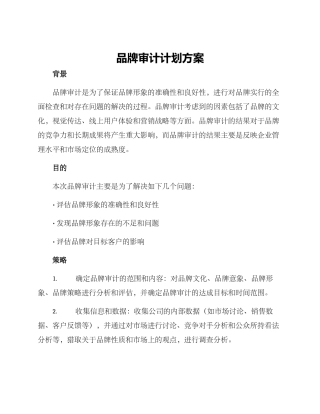 品牌审计计划方案