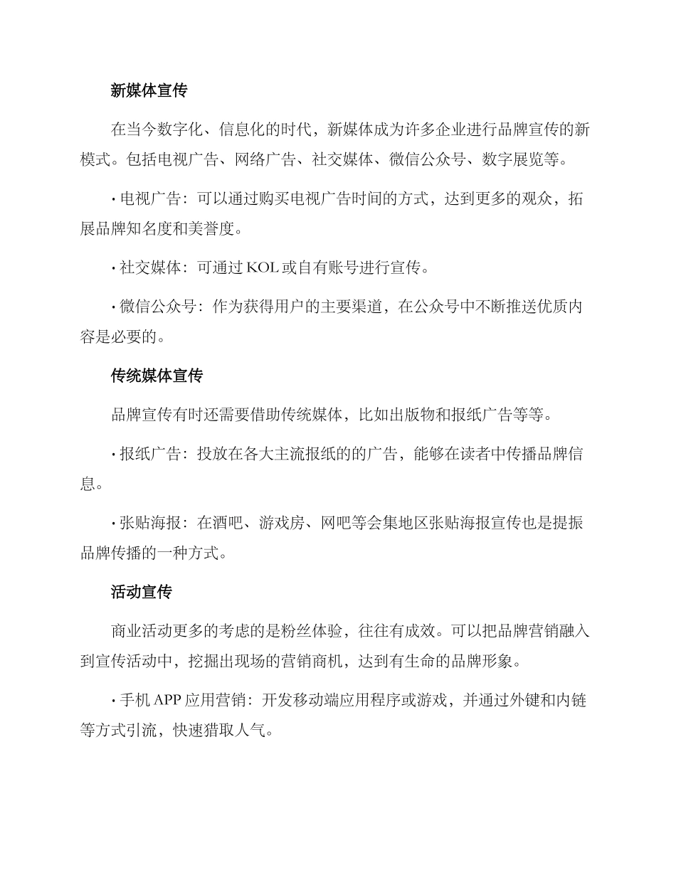 品牌宣传政策方案_第2页