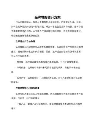 品牌导购晋升方案