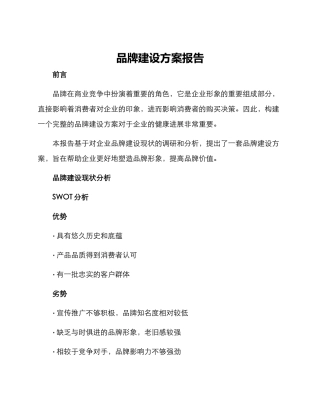 品牌建设方案报告