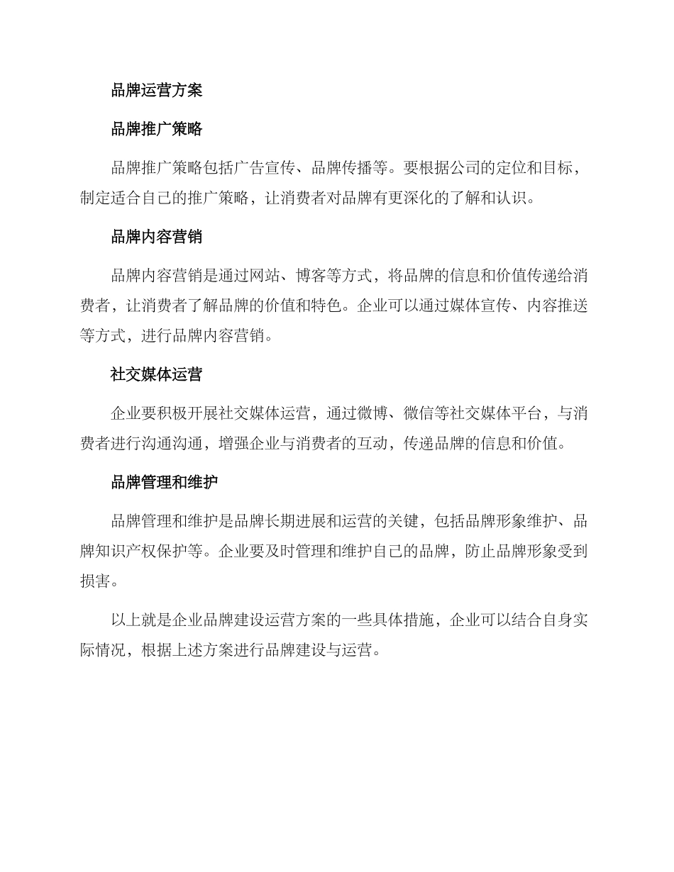 品牌建设运营方案_第2页