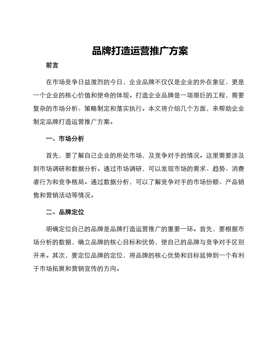 品牌打造运营推广方案_第1页