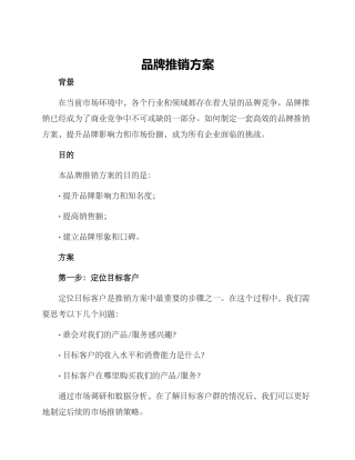 品牌推销方案